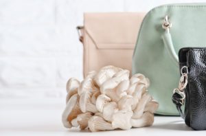 Alternative material handbags with a mushroom