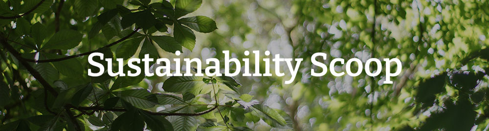 Sustainability Scoop