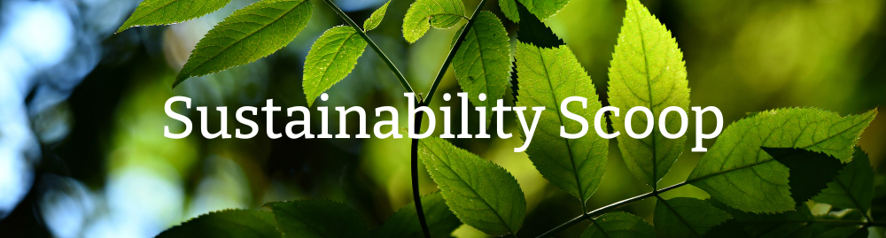 Sustainability Scoop no 2