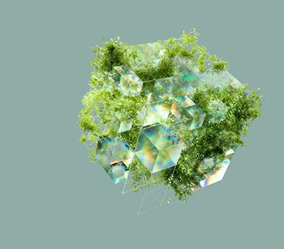 sustainability reports