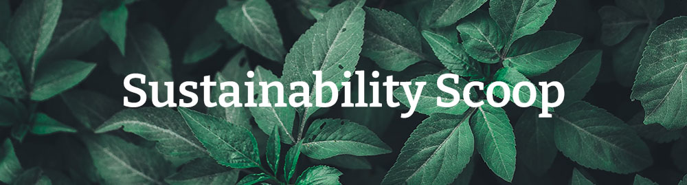 Sustainability scoop newsletter no. 3