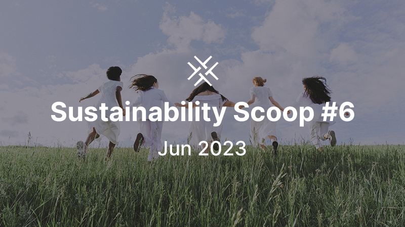 Sustainability Scoop no 6
