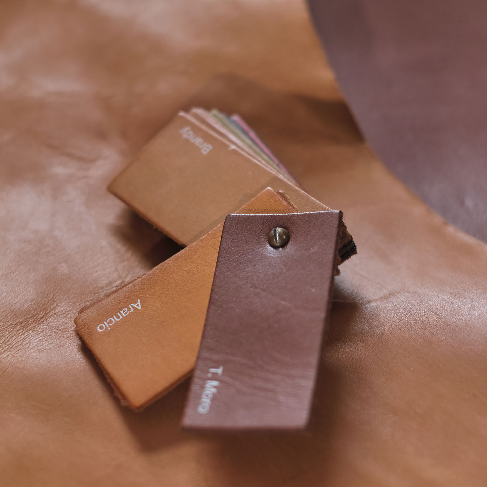Leather swatch